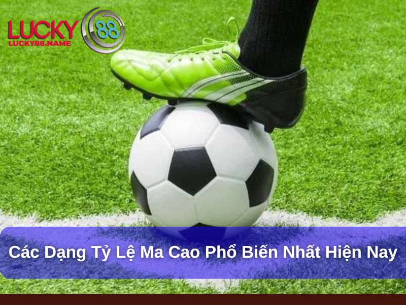 Các dạng tỷ lệ Ma Cao phổ biến nhất hiện nay